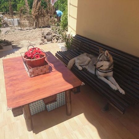 Casita Entre Naranjas Villa Formentera de Segura Eksteriør bilde